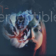 imperceptibles
